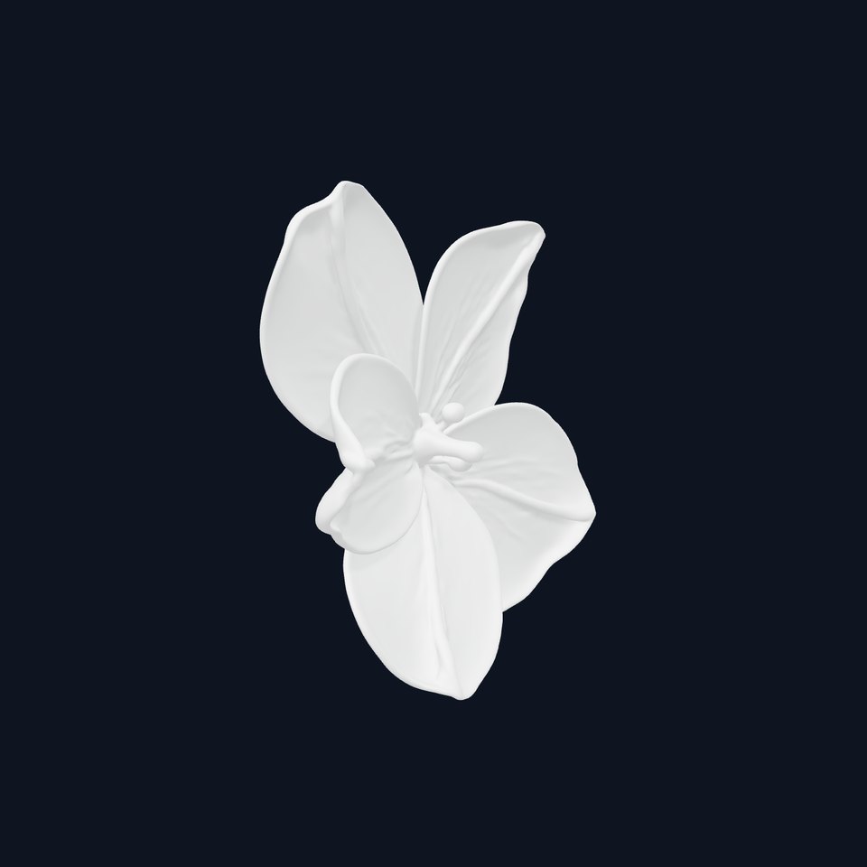 Vibrant Multicolor Flower Model Pack for D Rendering and Animation